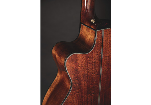 TAKAMINE GUITARES ACOUSTIQUES LTD2025