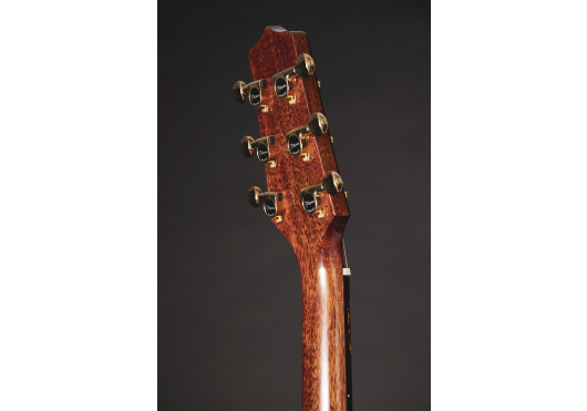 TAKAMINE GUITARES ACOUSTIQUES LTD2025