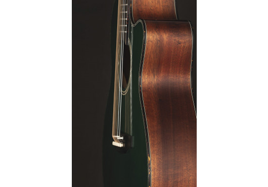 TAKAMINE GUITARES ACOUSTIQUES LTD2025