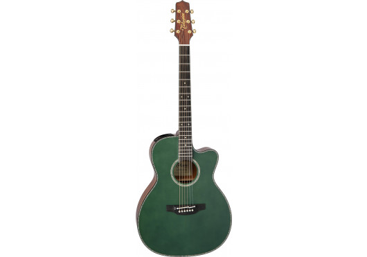 TAKAMINE GUITARES ACOUSTIQUES LTD2025