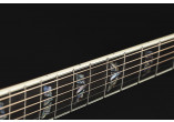 TAKAMINE GUITARES ACOUSTIQUES P10DC