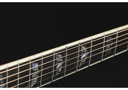 TAKAMINE GUITARES ACOUSTIQUES P10DC