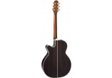 P10NC TAKAMINE GUITARES ACOUSTIQUES P10NC