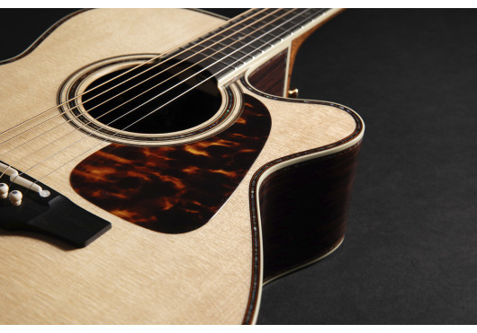 P10NC TAKAMINE GUITARES ACOUSTIQUES P10NC