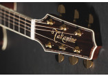 P10NC TAKAMINE GUITARES ACOUSTIQUES P10NC