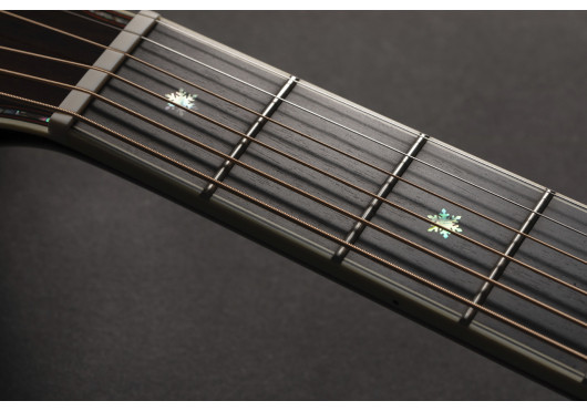 P10NC TAKAMINE GUITARES ACOUSTIQUES P10NC