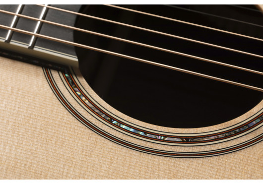 P10NC TAKAMINE GUITARES ACOUSTIQUES P10NC