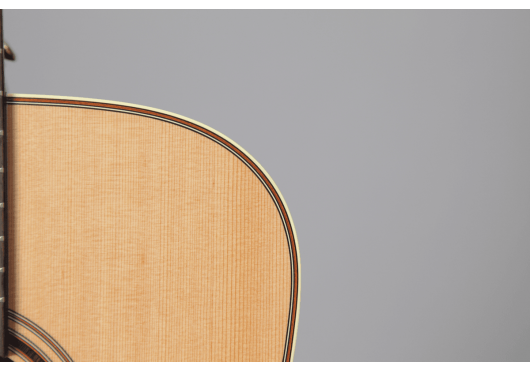 TAKAMINE GUITARES ACOUSTIQUES P3NY