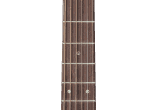 TAKAMINE Guitares acoustiques P5NC