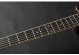 TAKAMINE GUITARES ACOUSTIQUES RNV460C