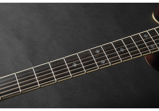 TAKAMINE GUITARES ACOUSTIQUES RNV460C