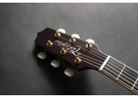 TAKAMINE GUITARES ACOUSTIQUES RNV460C
