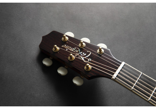 TAKAMINE GUITARES ACOUSTIQUES RNV460C