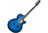 TAKAMINE GUITARES ACOUSTIQUES TSP100-DBS