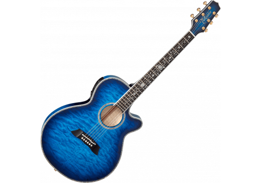 TAKAMINE GUITARES ACOUSTIQUES TSP100-DBS