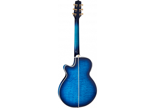 TAKAMINE GUITARES ACOUSTIQUES TSP100-DBS