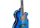 TAKAMINE GUITARES ACOUSTIQUES TSP100-DBS