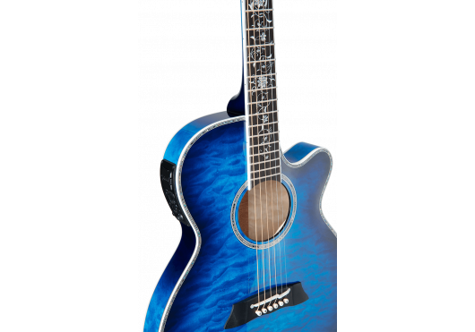 TAKAMINE GUITARES ACOUSTIQUES TSP100-DBS