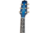 TAKAMINE GUITARES ACOUSTIQUES TSP100-DBS