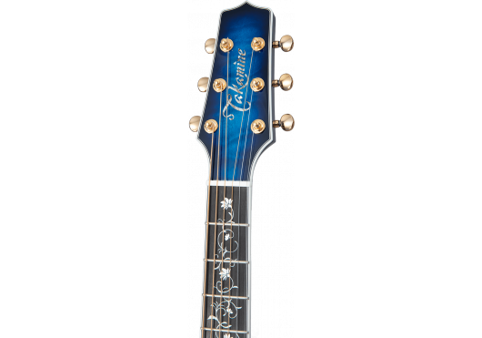 TAKAMINE GUITARES ACOUSTIQUES TSP100-DBS