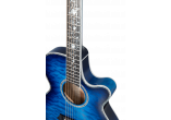 TAKAMINE GUITARES ACOUSTIQUES TSP100-DBS