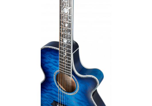 TAKAMINE GUITARES ACOUSTIQUES TSP100-DBS
