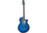 TAKAMINE GUITARES ACOUSTIQUES TSP100-DBS