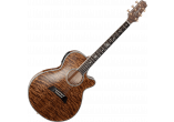 TAKAMINE GUITARES ACOUSTIQUES TSP100-VT