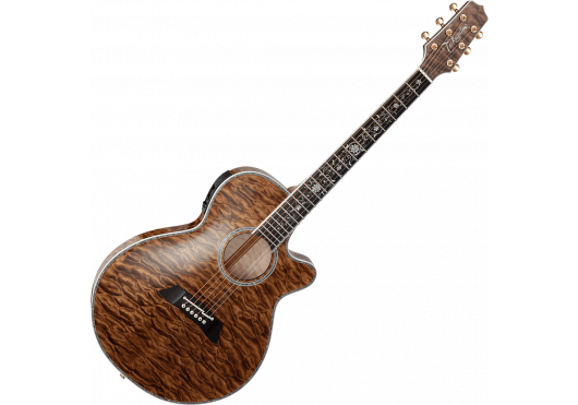 TAKAMINE GUITARES ACOUSTIQUES TSP100-VT