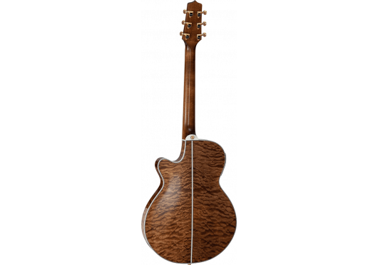 TAKAMINE GUITARES ACOUSTIQUES TSP100-VT