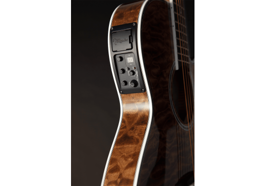 TAKAMINE GUITARES ACOUSTIQUES TSP100-VT