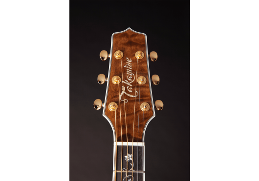 TAKAMINE GUITARES ACOUSTIQUES TSP100-VT