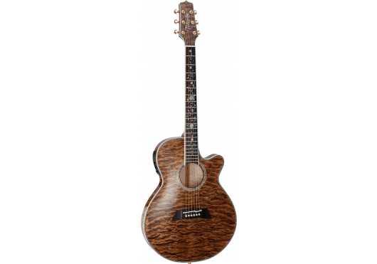 TAKAMINE Guitares acoustiques TSP100-VT