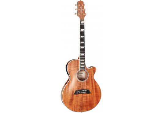 TAKAMINE Guitares acoustiques TSP178ACK-N