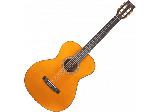 VA434-VNA VALENCIA GUITARES CLASSIQUES VA434-VNA