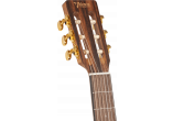 VALENCIA Guitares Classiques VA434-VNA