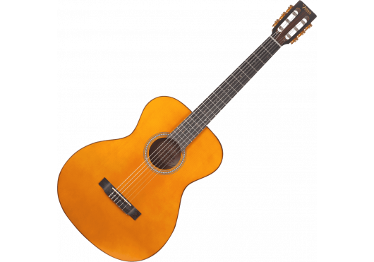 VALENCIA Guitares Classiques VA434-VNA