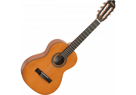 VALENCIA Guitares Classiques VC202