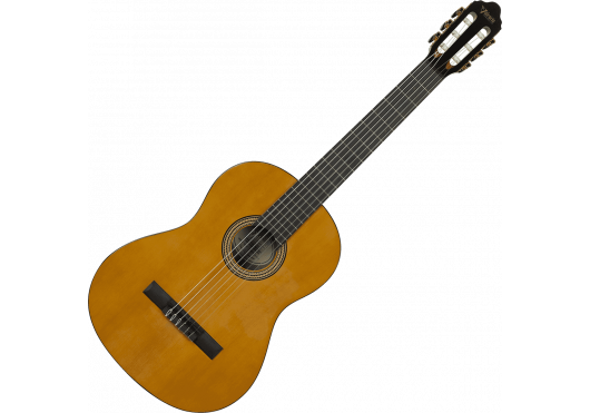 VALENCIA GUITARES CLASSIQUES VC264