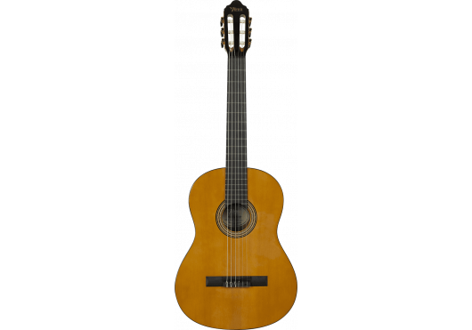 VALENCIA Guitares Classiques VC264