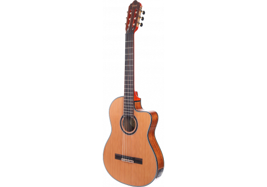 VALENCIA Guitares Classiques VC774TCE