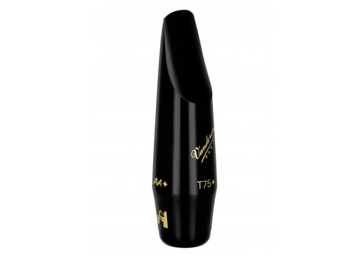 VANDOREN BECS SAXOPHONE SM513B+