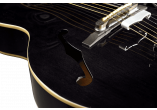 VOX Guitares Electriques VGA-3PS-TK