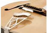 VOX Guitares Electriques VGA-5TPS-NAMG