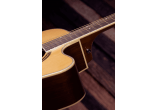 WASHBURN Guitares acoustiques AG70CE