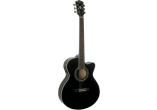 WASHBURN Guitares acoustiques EA12B