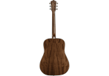 WASHBURN Guitares acoustiques HD10S