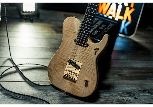 WASHBURN Guitares Electriques NELE-DLX