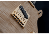 WASHBURN Guitares Electriques NELE-DLX