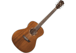 WASHBURN Guitares acoustiques WLO12SE
